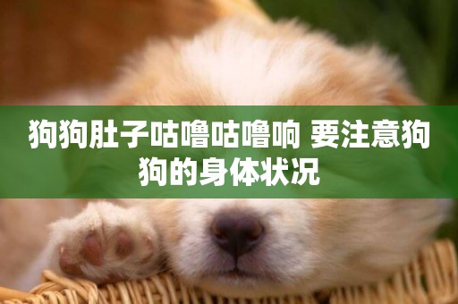 狗狗肚子咕嚕咕嚕響 要注意狗狗的身體狀況