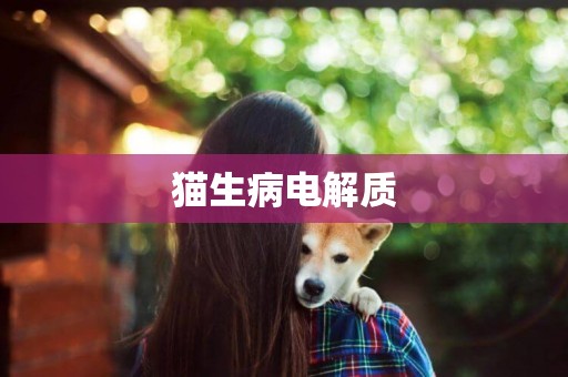 貓生病電解質