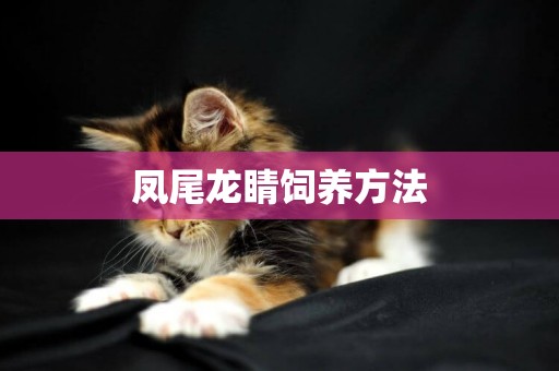 鳳尾龍睛飼養方法