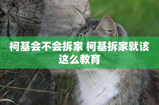 柯基會不會拆家 柯基拆家就該這么教育