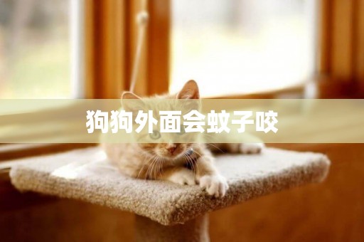 狗狗外面會蚊子咬