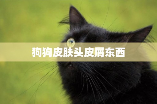 狗狗皮膚頭皮屑東西