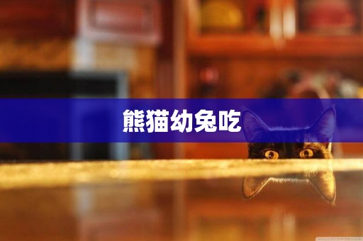 熊貓幼兔吃