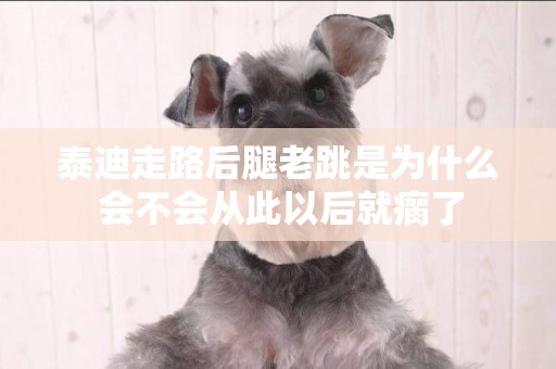 泰迪走路后腿老跳是為什么 會不會從此以后就瘸了	