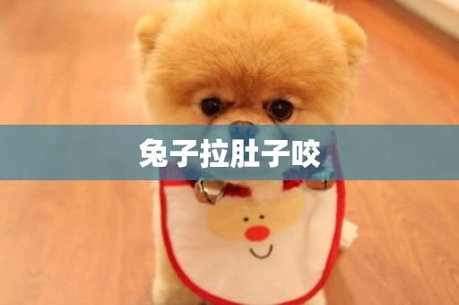 兔子拉肚子咬