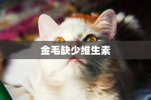金毛缺少維生素
