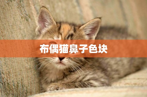 布偶貓鼻子色塊