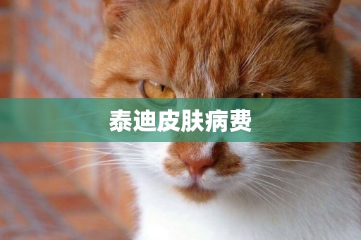 泰迪皮膚病費