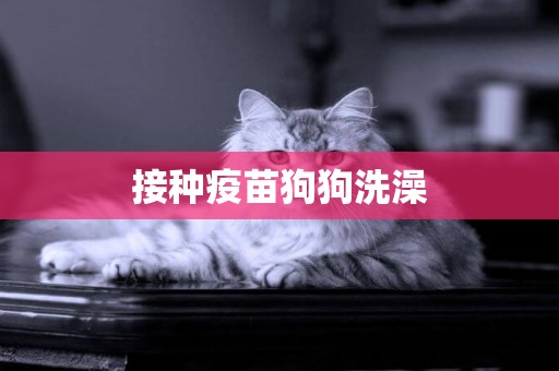 接種疫苗狗狗洗澡