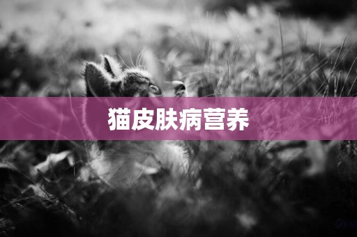 貓皮膚病營養