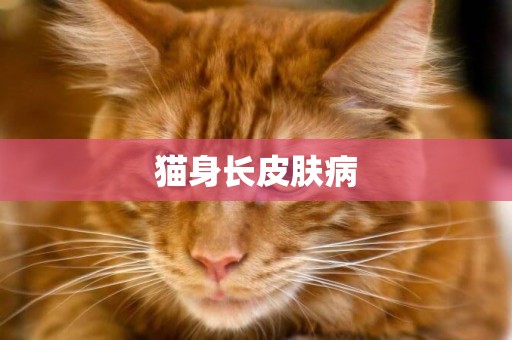 貓身長皮膚病