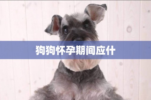 狗狗懷孕期間應什