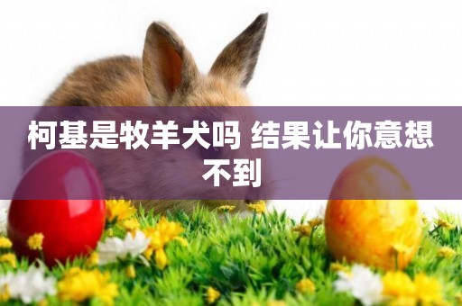 柯基是牧羊犬嗎 結果讓你意想不到 柯基是牧羊犬嗎 結果讓你意想不到