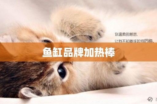 魚缸品牌加熱棒