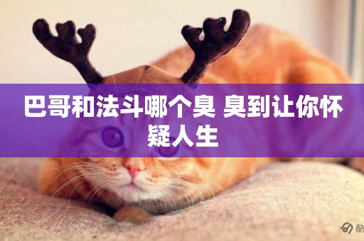 巴哥和法斗哪個臭 臭到讓你懷疑人生
