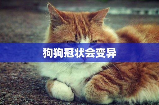 狗狗冠狀會變異