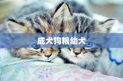 成犬狗糧幼犬