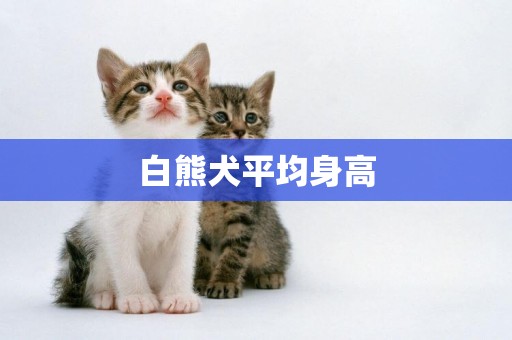 白熊犬平均身高
