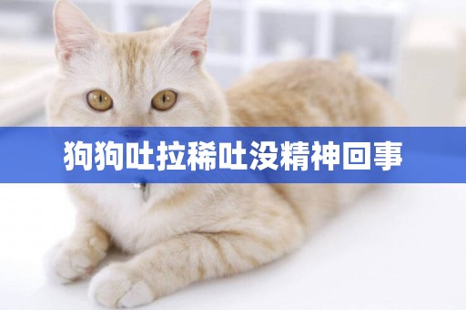 狗狗吐拉稀吐沒精神回事