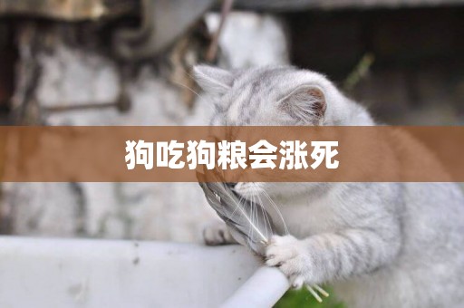 狗吃狗糧會漲死