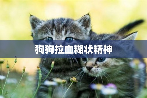 狗狗拉血糊狀精神
