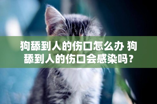 狗舔到人的傷口怎么辦 狗舔到人的傷口會感染嗎？