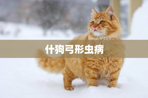 什狗弓形蟲病