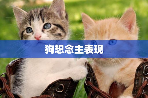 狗想念主表現