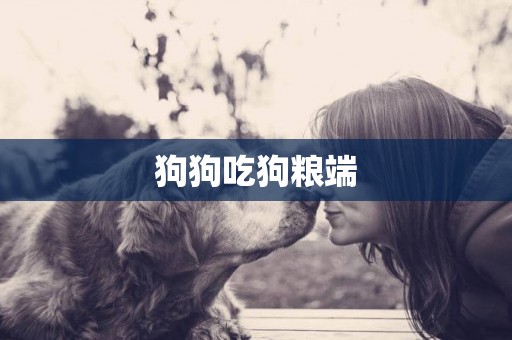 狗狗吃狗糧端