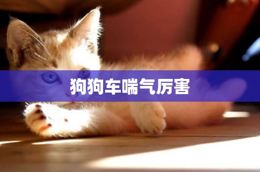 狗狗車喘氣厲害