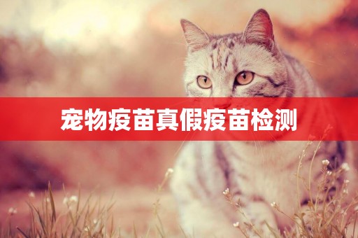 寵物疫苗真假疫苗檢測