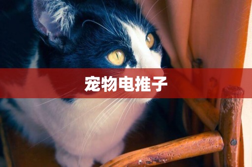 寵物電推子