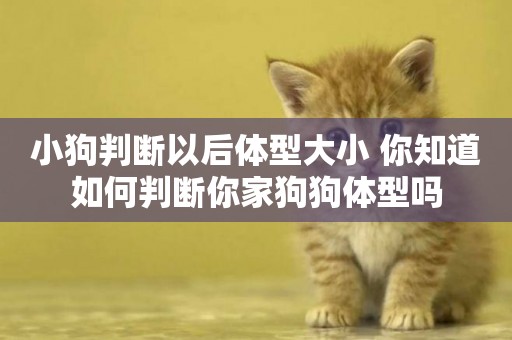 小狗判斷以后體型大小 你知道如何判斷你家狗狗體型嗎