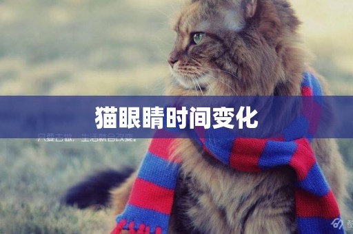 貓眼睛時間變化