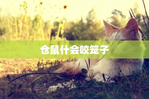 倉鼠什會咬籠子