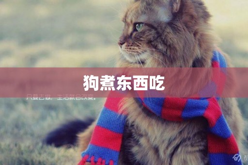 狗煮東西吃