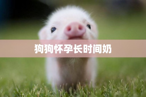 狗狗懷孕長時間奶