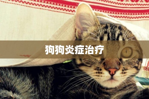 狗狗炎癥治療