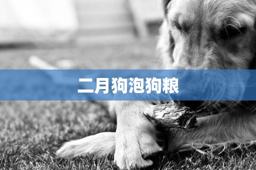 二月狗泡狗糧