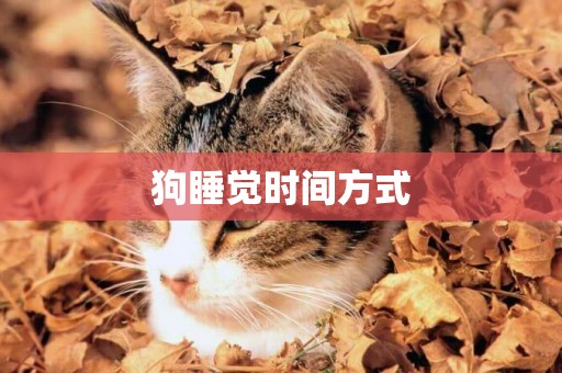 狗睡覺時間方式