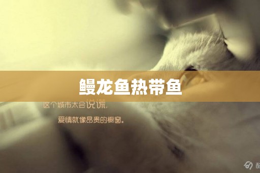 鰻龍魚熱帶魚