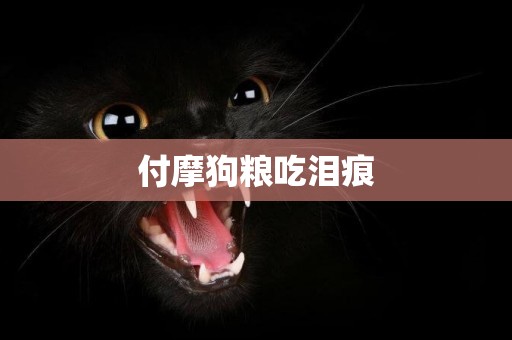 付摩狗糧吃淚痕