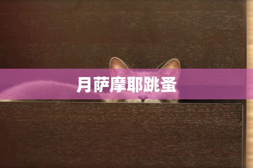 月薩摩耶跳蚤