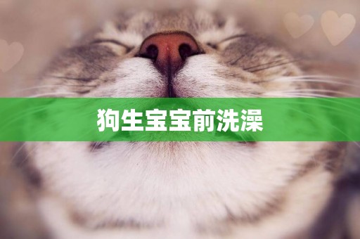 狗生寶寶前洗澡