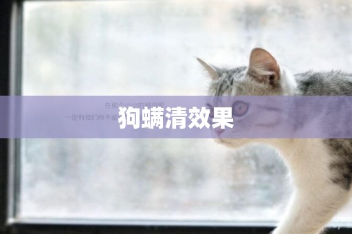 狗螨清效果