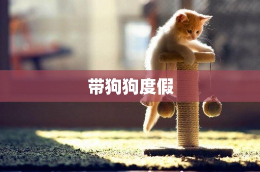 帶狗狗度假