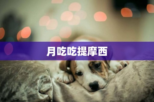 月吃吃提摩西