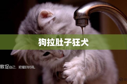狗拉肚子狂犬