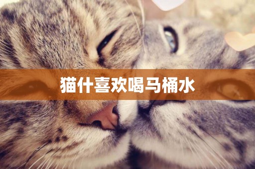 貓什喜歡喝馬桶水