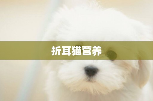 折耳貓營養
